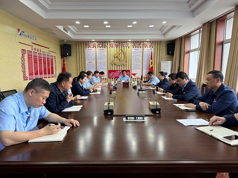 聚焦問題謀改革 強化措施促發(fā)展丨盛源公司召開5月份經(jīng)濟分析會